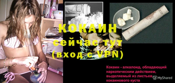 гидра Бородино