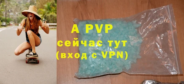 гидра Бородино