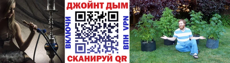 Купить где  Лермонтов  МАРИХУАНА White Widow 